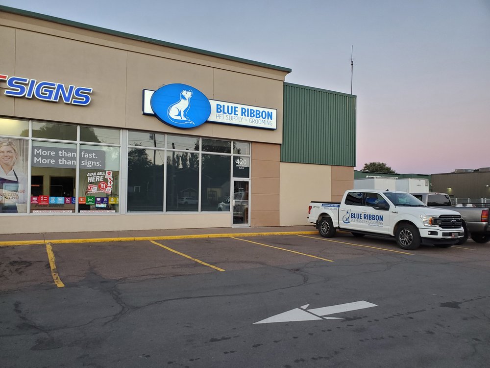 BLUE RIBBON PET SUPPLY Updated October 2024 420 Queen Street