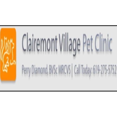 Dog Insurance San Diego: Protect Your Pup Today