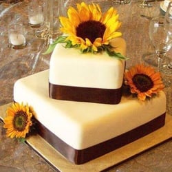 Cindys Custom Cakes