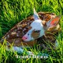 Photo of Todd & Brad Reed Photography