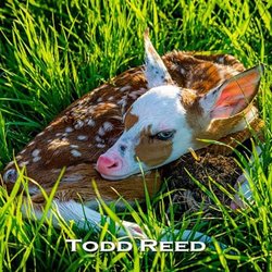 Todd & Brad Reed Photography
