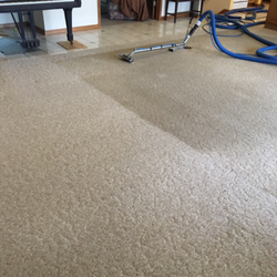 Hasting's Carpet Showroom