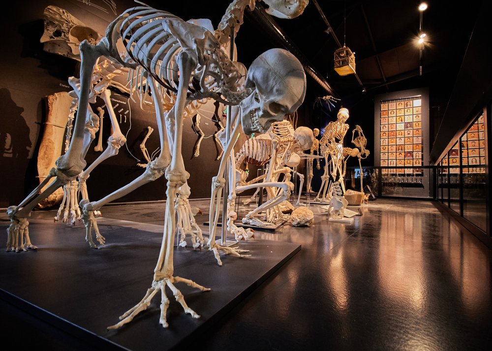 Kulturama Museum des Menschen