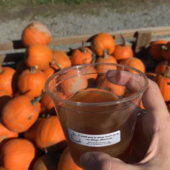 Shaw Farms - Pumpkin Patches Near Me - Milford, Ohio