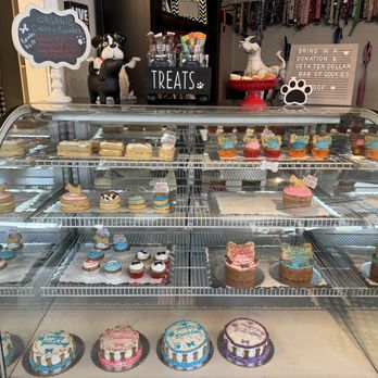 Paws and the Palette - Cupcake and cakes - Pet Stores Near Me - Sacramento, California