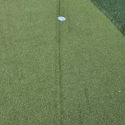 Coastal Synthetic Turf - Beam of sun light was concentrated from a reflection off the window and burnt a hard line into the turf.