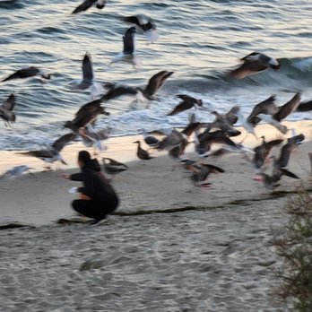 Main Beach Park - Beaches Near Me - Laguna Beach, California