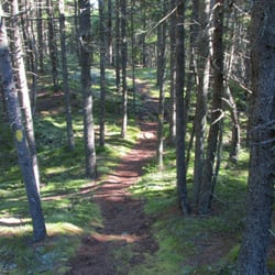Hendrick Head Hiking Trail - Very pleasant and soft walk