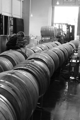 Madson Wines by null