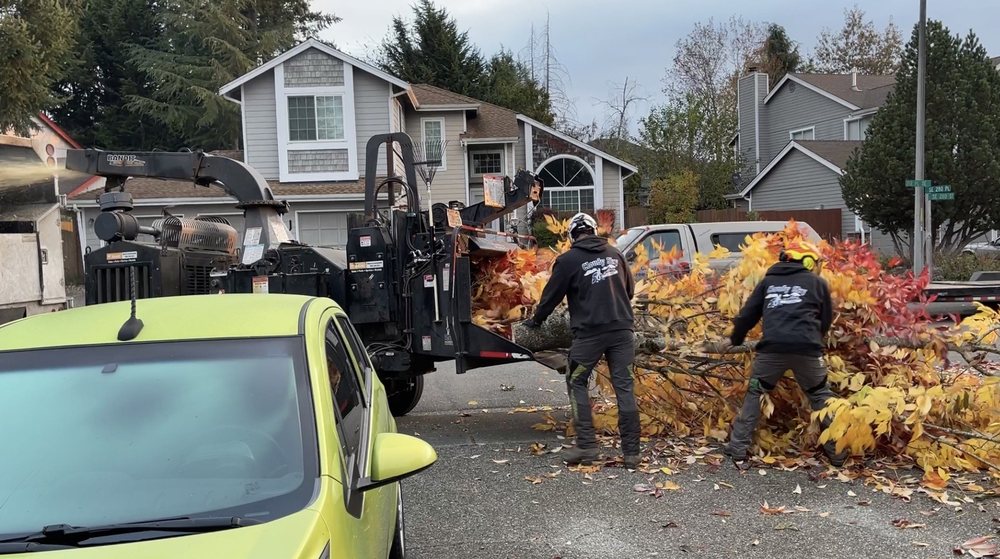 Cloudy Sky Tree Service - tree service in Bonney Lake, WA