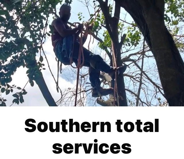 Slide of Sothern Total services