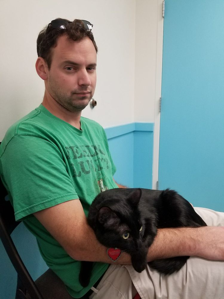 CAT HOSPITAL OF TUCSON 14 Photos & 19 Reviews Veterinarians