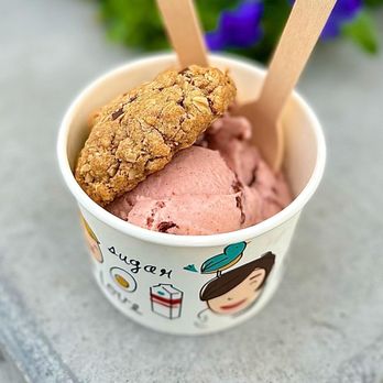 Hello Robin - Vegan ice cream and cookie - Bakeries Near Me - Seattle, Washington Hello Robin - Vegan ice cream and cookie - Bakeries Near Me - Seattle, Washington