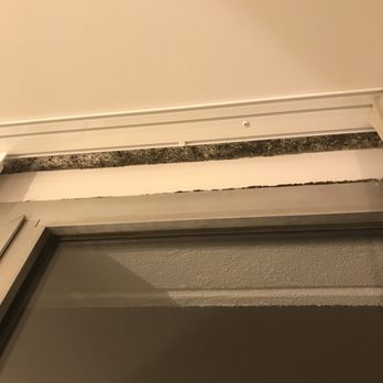 Moxy Paris Bastille - black mold covering window area. Room 616 - Hotels Near Me - Paris, 75 Moxy Paris Bastille - black mold covering window area. Room 616 - Hotels Near Me - Paris, 75