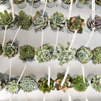 Succulently Urban - Florists Near Me Succulently Urban - Florists Near Me