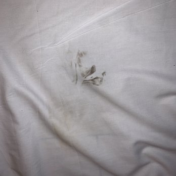 Hampton Falls Inn - Another stain on the fitted sheet - Hotels Near Me - Hampton Falls, New Hampshire Hampton Falls Inn - Another stain on the fitted sheet - Hotels Near Me - Hampton Falls, New Hampshire