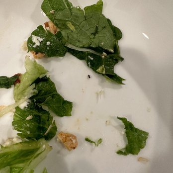 Greek Streak 2 - Bugs crawling in my $20 salad - Greek Near Me - Logan, Utah Greek Streak 2 - Bugs crawling in my $20 salad - Greek Near Me - Logan, Utah