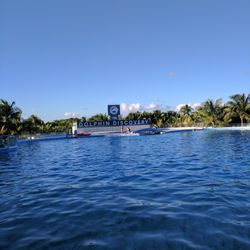 Dolphin Discovery Playa del Carmen Maroma