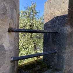 Bürgermeistergarten - ... Impressionen ...
