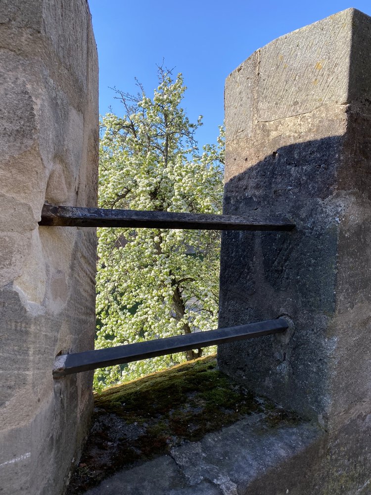 Bürgermeistergarten