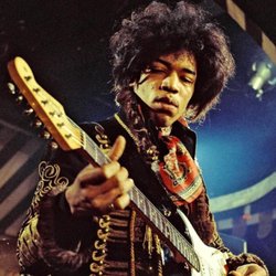 Purple Haze - Everett