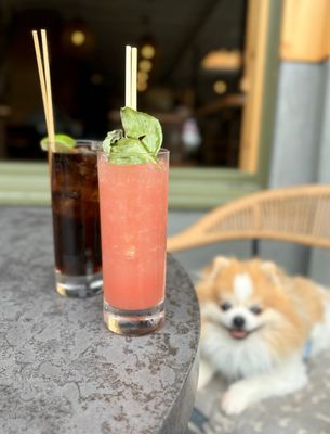 Bar Darling by null
