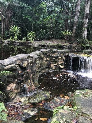 Amazon Ecopark Jungle Lodge by null