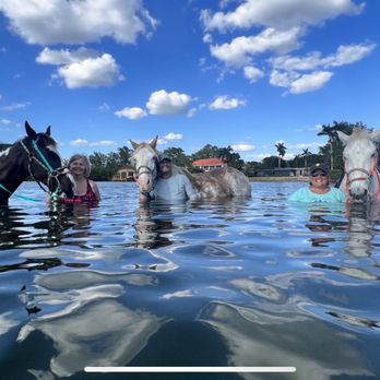 Florida Beach Horses - Beaches Near Me - Bradenton, Florida