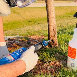 Olson Tree Care - Tree Surgery by Olson Tree Care in Des Moines