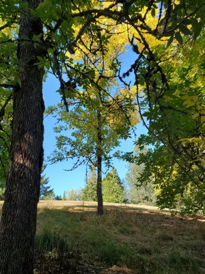 Washington Park by null