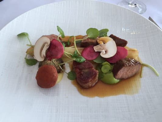 De Bokkedoorns by null