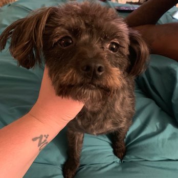 PetSmart - Pet Stores Near Me - Escondido, California PetSmart - Pet Stores Near Me - Escondido, California