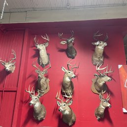 They're watching you! They're watching you!