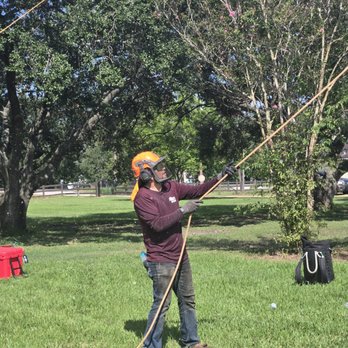 Galvan Tree Services - Tree Services Near Me Galvan Tree Services - Tree Services Near Me