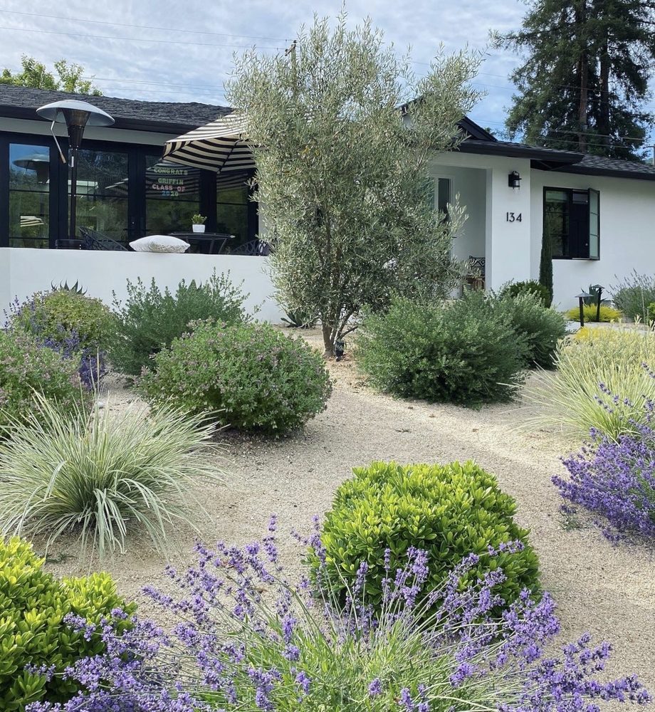 Garden Group - tree service in San Jose, CA