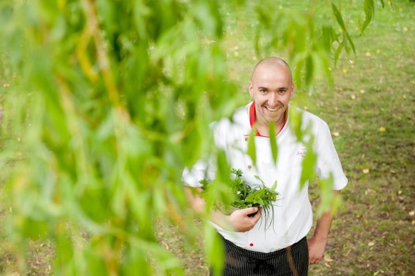 Landhaus "Zu den Rothen Forellen" by null