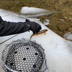 Rocky Mountain Anglers