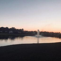 Our lake view. Love this place. Our lake view. Love this place.