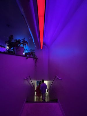 Plain Spoke Cocktail Company by null