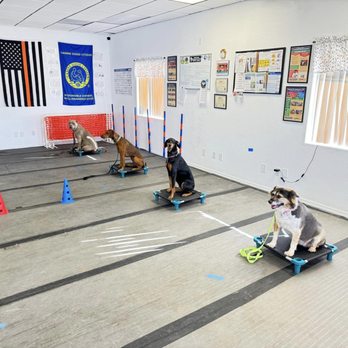 Pawsitive Connection Dog Training - Pet Training Near Me - Kingman, Arizona