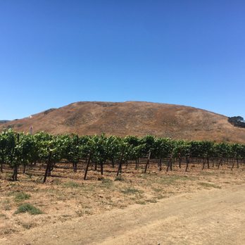 Sanford Winery - Wineries Near Me - Lompoc, California Sanford Winery - Wineries Near Me - Lompoc, California