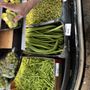 Photo of Narmada Indian Groceries