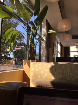 Hotel Indigo Baton Rouge Downtown, an IHG Hotel by null