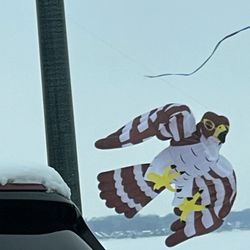 Color the Wind