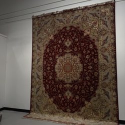 Concept Home Rugs