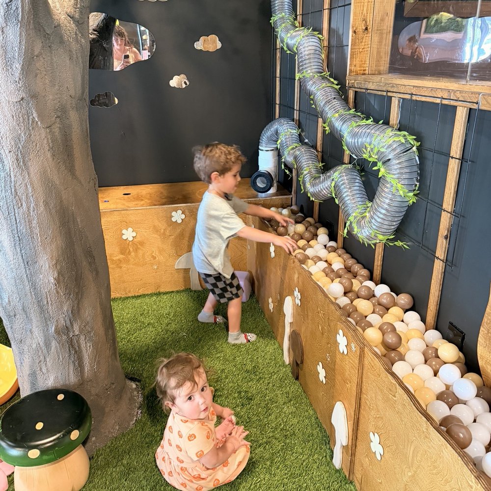 Peculiar Play Cafe - Play area - Cafes Near Me - Fort Myers, Florida Peculiar Play Cafe - Play area - Cafes Near Me - Fort Myers, Florida
