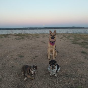 Sit Means Sit - Pet Training Near Me - San Antonio, Texas Sit Means Sit - Pet Training Near Me - San Antonio, Texas