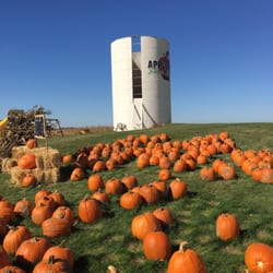 Appleland Farm Market - Pumpkins for sale at Apple land