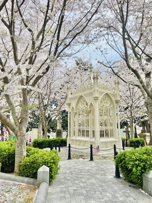 Hollywood Cemetery by null
