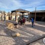 Photo of Granite Mountain Landscaping